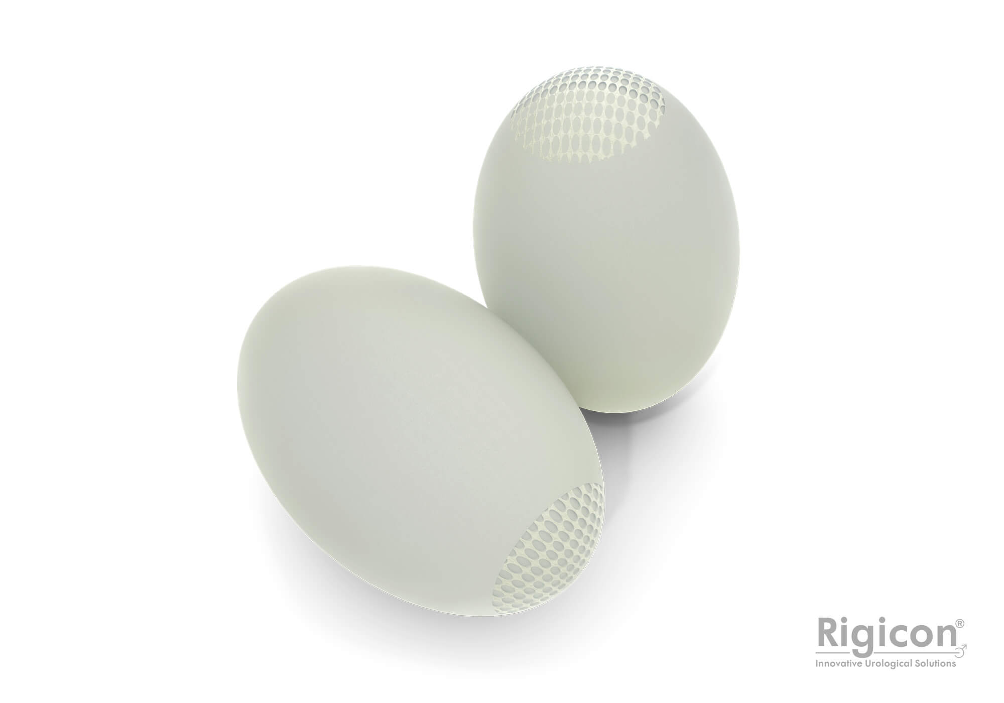 Rigicon Firm Prosthesis